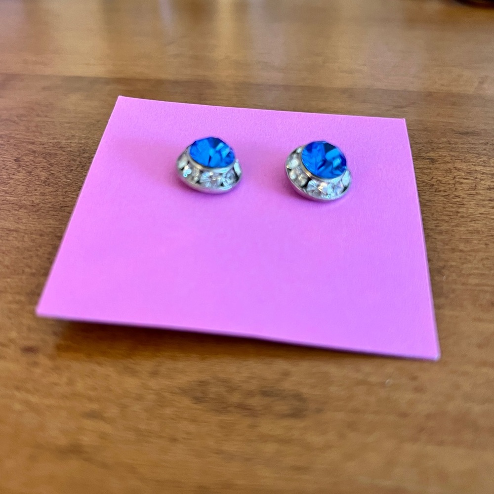 Blue Earrings